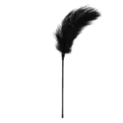 Easytoys Fetish Collection – Feather Tickler Zwart (1 stuk)