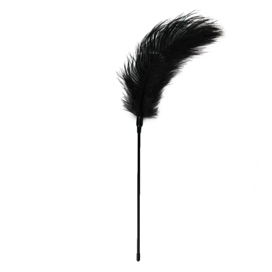 Easytoys Fetish Collection – Feather Tickler Zwart (1 stuk)