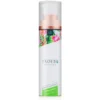 Exotiq – Massage Oil Apple Lemon (100 ml)