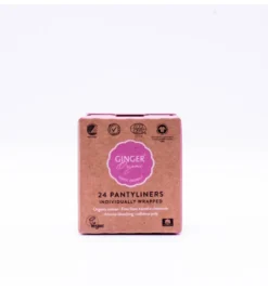 Ginger Organic Inlegkruisje individueel verpakt (24 stuks)