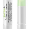 Ginkel’S Aloe & Echinacea Lipstick (5 gr)