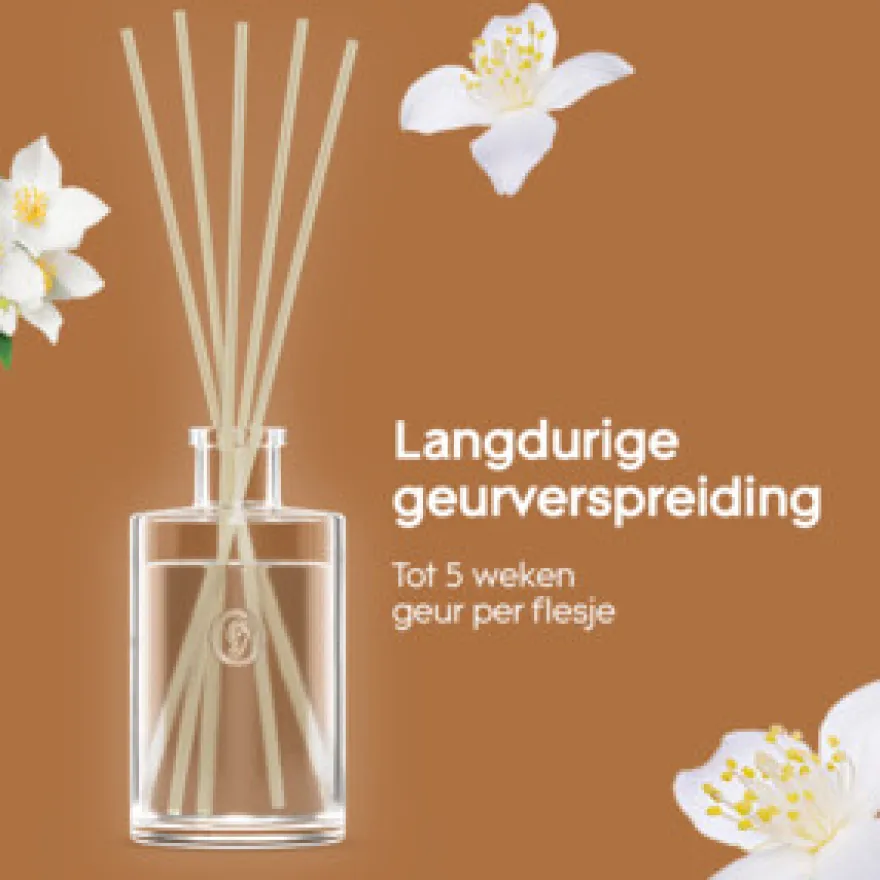 Glade Reed Diffuser Sensual Sandalwood & Jasmine (50 ml)