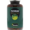 Hanoju Fucoidan Bruinalg Extract (180 capsules)