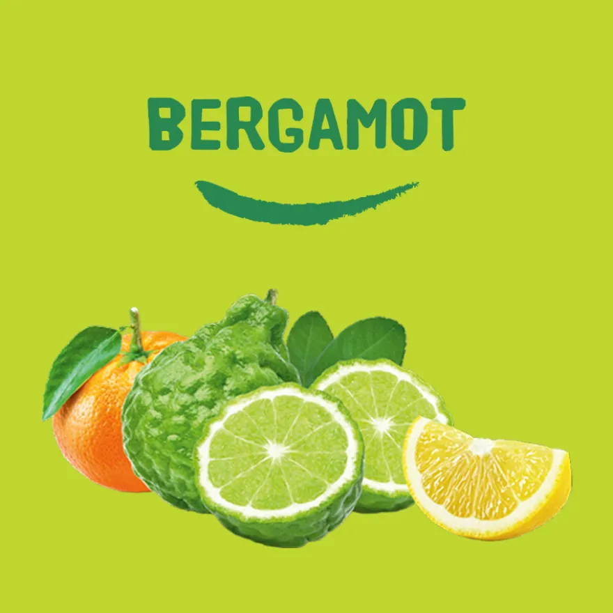 Happy Earth Pure deodorant balm bergamot (45 gr)