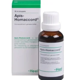 Heel Apis-Homaccord (30 ml)