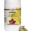 Holisan Amalaki (60 vega capsules)