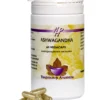 Holisan Ashwagandha Capsules (60 capsules)