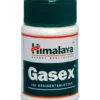 Holisan Gasex (100 tabletten)