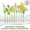 Iberogast Iberogast (50 ml)