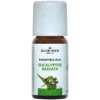 Jacob Hooy Eucalyptus radiata olie (10 ml)