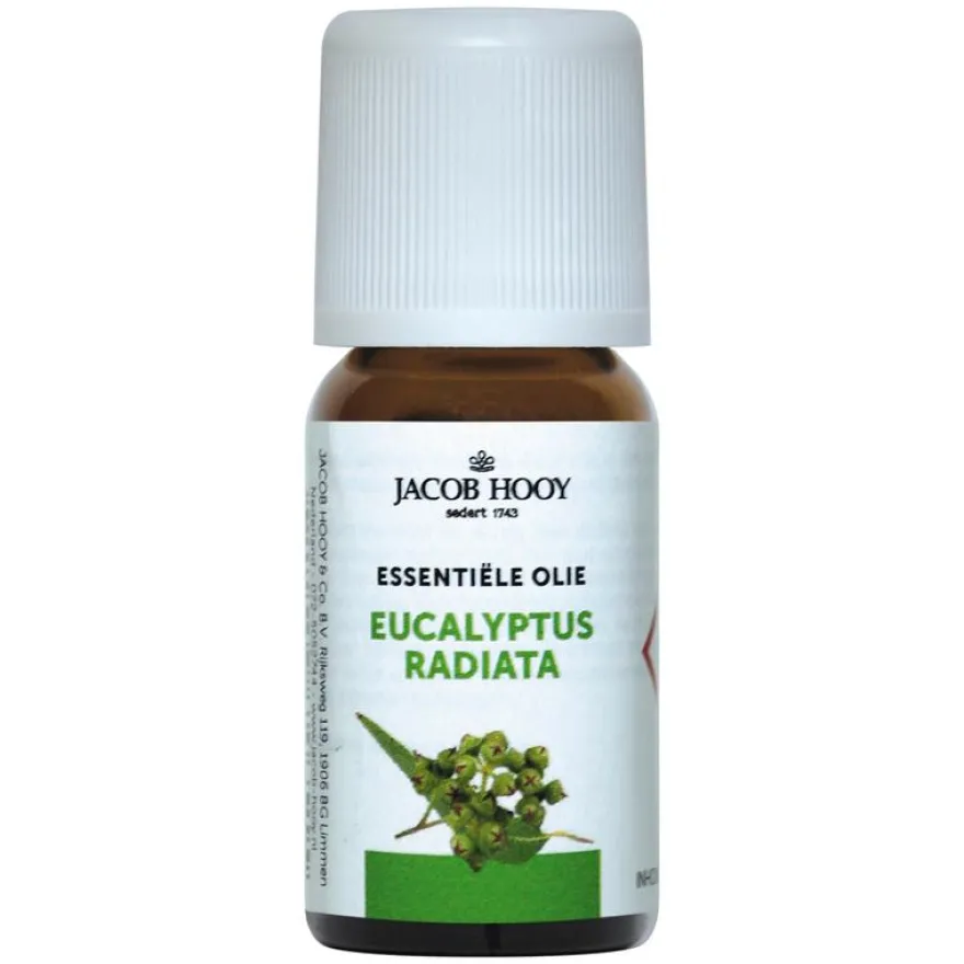Jacob Hooy Eucalyptus radiata olie (10 ml)