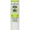 Jacob Hooy Lipbalsem CBD (1 stuk)