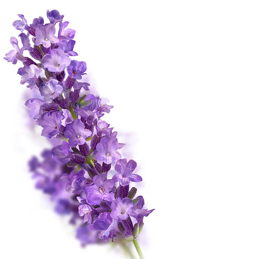 Kneipp Badkristal relaxing lavender (600 gr)
