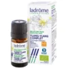 Ladrôme Essentiële Olie Ylang-Ylang Compleet (Cananga odorata) (5 ml)