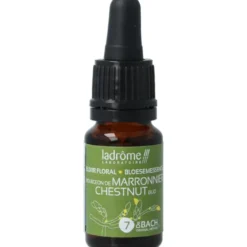 Ladrome Chestnut Bud Bio (10 ml)