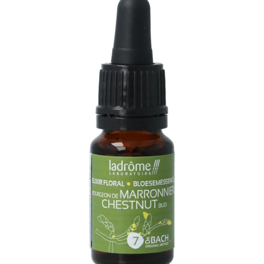 Ladrome Chestnut Bud Bio (10 ml)