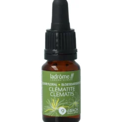Ladrome Clematis Bio (10 ml)