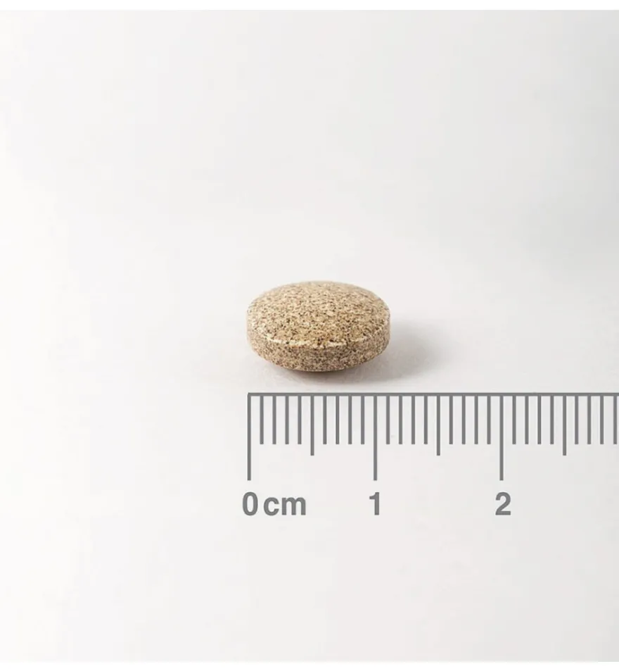 Lamberts Ginkgo 6000 (180 tabletten)