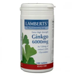 Lamberts Ginkgo 6000 (180 tabletten)