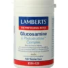Lamberts Glucosamine & Phytodroitine Co Mplex (120 tabletten)