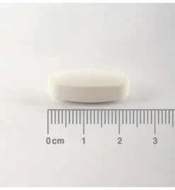 Lamberts MagAsorb (60 tabletten)
