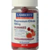 Lamberts Magnesium Citraat (40 gummies)