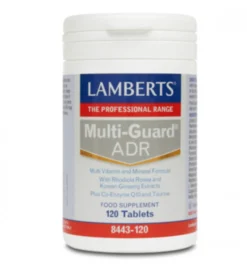 Lamberts Multi-guard ADR (120 tabletten)