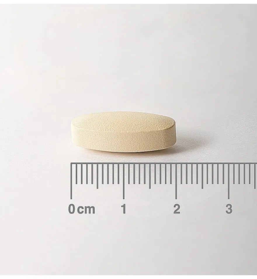 Lamberts Vitamine C 500mg rutine & bioflavonoiden (90 tabletten)