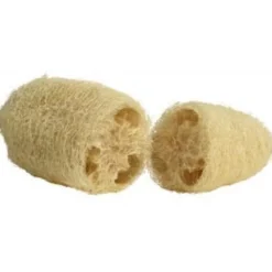 L’atelier Du Monde Natuurlijke Spons Luffa (1 stuk)