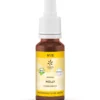 Lemon Pharma Bach bloesemremedies holly bio (20 ml)