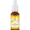 Lemon Pharma Bach bloesemremedies rock water bio (20 ml)
