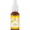 Lemon Pharma Bach bloesemremedies chicory bio (20 ml)