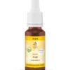 Lemon Pharma Bach bloesemremedies pine bio (20 ml)