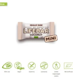Lifefood Mini Lifebar Energiereep Kokos Raw & Bio (25 gr)