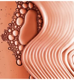 L’Oréal Shampoo dream lengths (90 ml)