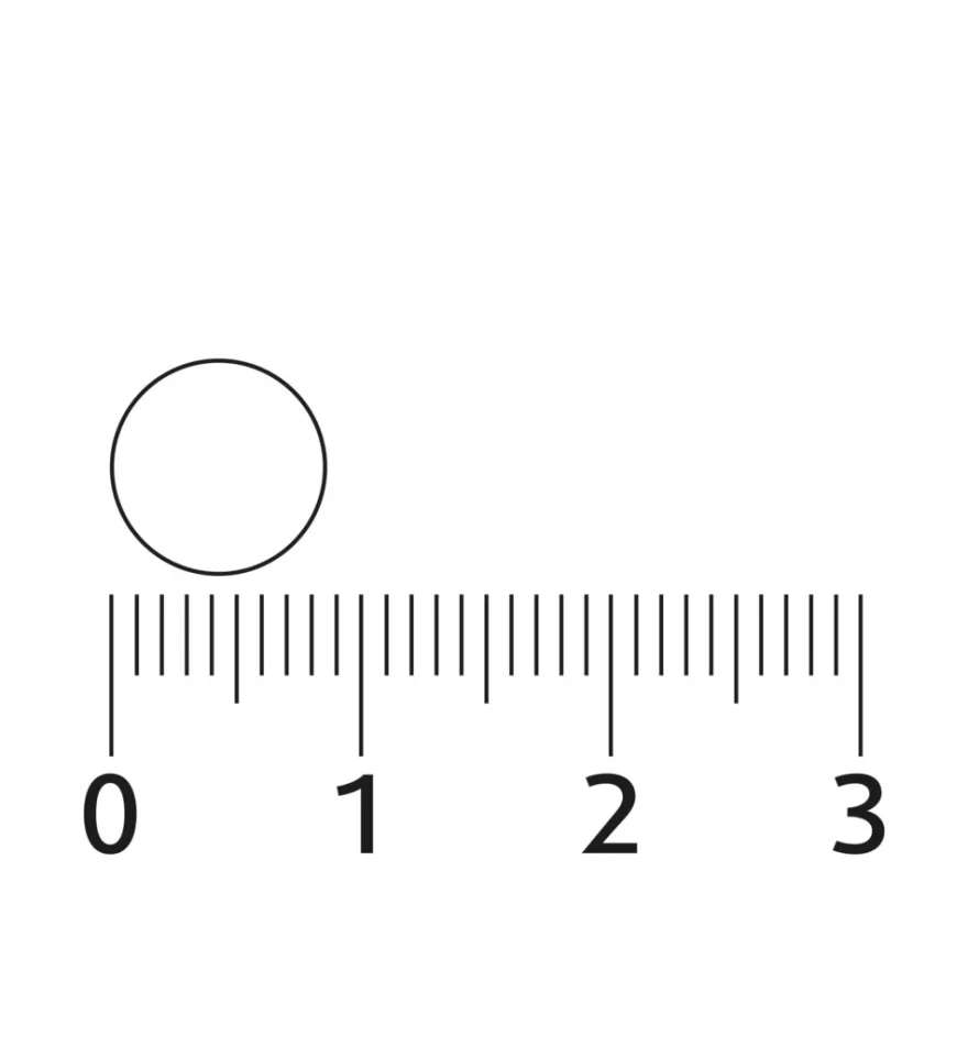 Lucovitaal Oesterkalk Calcium Vitamine D3 & K (100 tabletten)