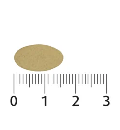 Lucovitaal Sterk IJzer Complex (60 tabletten)