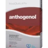 Masqueliers Anthogenol (60 capsules)