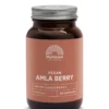 Mattisson Absolute Amla Berry Extract 500Mg (60 vega capsules)