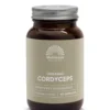 Mattisson Cordyceps 525mg – Cordyceps Sinensis Bio (60 vega capsules)