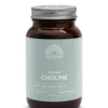 Mattisson Vegan Vitacholine 400Mg (90 capsules)