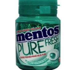 Mentos Gum pure wintergreen pot (30 stuks)