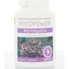 Mycopower Polyporus bio (100 capsules)
