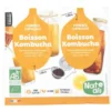 Nat-ali Ferment voor Kombucha (10 gr)