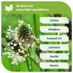 Natterman Nacht voor alle hoest volwassen (150 ml)