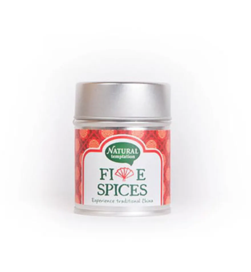 Natural Temptation Five Spices Blikje Natural Spices Bio (50 gr)