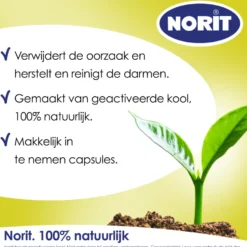 Norit 200mg (30 capsules)