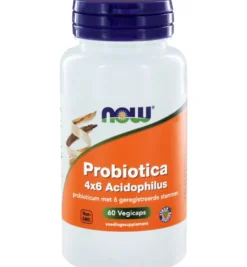Now Biotica 4X6 Vh Probiotica (60 vega capsules)
