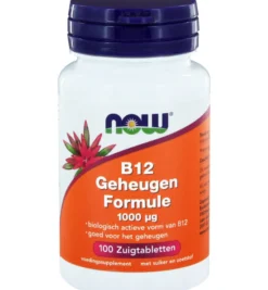 Now Vitamine B12 geheugenformule 1000 mcg (100 zuigtabletten)