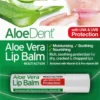 Optima Aloe dent aloe vera lippenbalsem stick (4 gr)